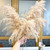 Extra Fluffy Mini Cascading Pampas Grass x2 Stems