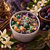 Celestial Bloom Crumble