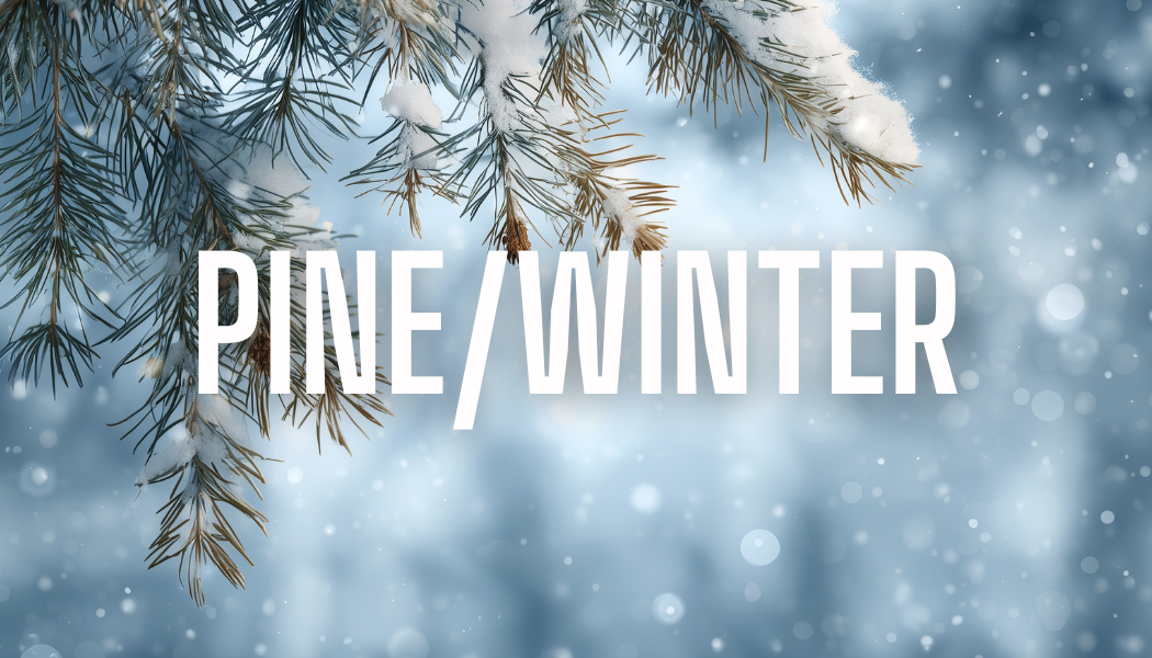 Pine & Winter Wax Melts