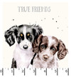 Together is Better MASMK11128-K Soft Grey Hannah Dale Ruler Image