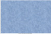 Fine Line Floral 108"" Quilt Backs MASQB11240-B Soft Blue Maywood Studio 1 Yard Ruler Image