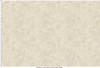 Fine Line Floral 108"" Quilt Backs MASQB11240-E Cream Maywood Studio 1 Yard Ruler Image