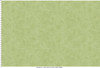 Fine Line Floral 108"" Quilt Backs MASQB11240-G Green Maywood Studio 1 Yard Ruler Image