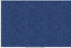 Fine Line Floral 108"" Quilt Backs MASQB11240-N Deep Navy Maywood Studio 1 Yard Ruler Image