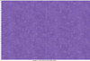 Fine Line Floral 108"" Quilt Backs MASQB11240-V Rich Purple Maywood Studio 1 Yard Ruler Image