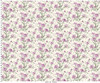 Courtland MAS11320-E Cream Maywood Studio 1 Yard Image