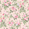 Garden Club MAS11471-P Pink Maywood Studio Fabric Image