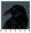 Dark Moon MAS11560-JN Black/Navy Maywood Studio Ruler Image