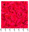 Hand Picked: Christmas MAS10718-R Fabric Ruler Image