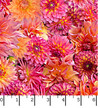 Hand Picked: Quilt Backs MASQB10862-PO Pink/Orange Nicholas Lapp Ruler Image
