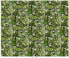 Hand Picked: Quilt Backs MASQB10868-G Green Nicholas Lapp Yard Image