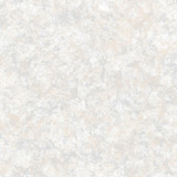 Harmony 108"" Quilt Backs MASQB11230-E Cream Maywood Studio Fabric Image