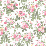 Garden Club MAS11471-W White Maywood Studio Fabric Image