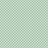 Playtime Flannel MASF10691-G2 Pine Green Maywood Studio Fabric Image