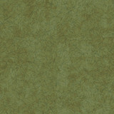 Hazelwood MAS11305-G Green Maywood Studio Fabric Image