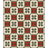 Gingham Garland Snowflake Stars Quilt  Project Image