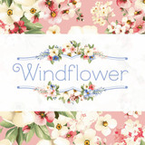 Windflower Collection Thumbnail