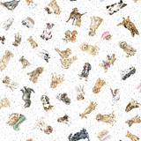 Whiskers & Paws MAS10417-W White Hannah Dale Fabric Image Whiskers & Paws MAS10417-W White Hannah Dale Fabric Image