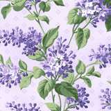 Lilac Lane MAS10950-V Purple Maywood Studio Fabric Image Lilac Lane MAS10950-V Purple Maywood Studio Fabric Image