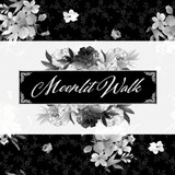 Collection image for Moonlit Walk fabric collection from Maywood Studio