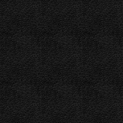 Summer Buzz MAS11068-J Black Maywood Studio Fabric Image