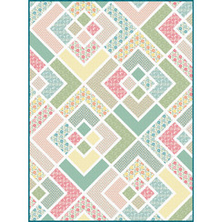 Printed Garden The Penny Quilt  Project Image