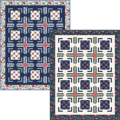 Sweetbriar Flying Frames Quilt  Project Image
