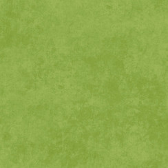 Shadow Play MAS513-G62 Fabric Image