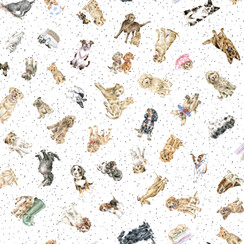 Whiskers & Paws MAS10417-W White Hannah Dale Fabric Image