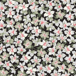 Marlowe MAS10944-J Black Maywood Studio Fabric Image