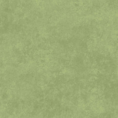 Shadow Play Flannel MASF513-GS2 Thyme Maywood Studio Fabric Image