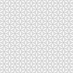 Moonlit Walk MAS11016-W White Maywood Studio Fabric Image