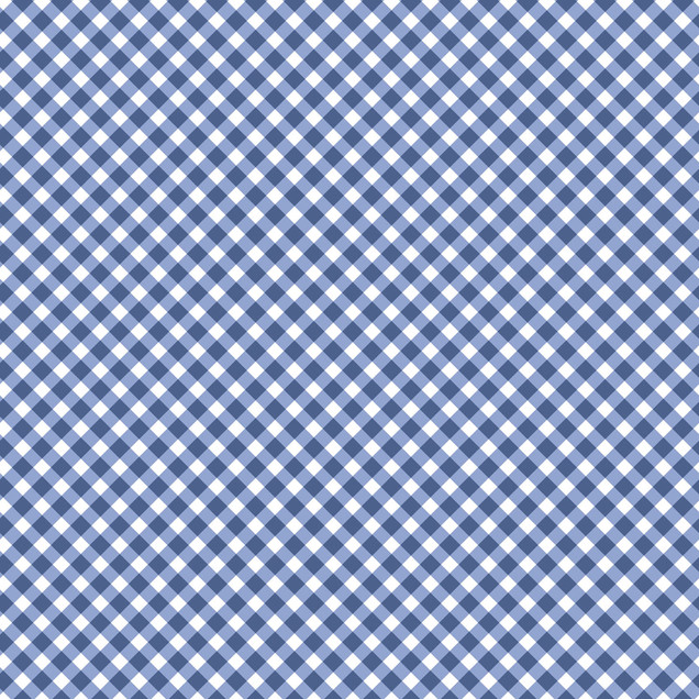 Playtime Flannel MASF10691-N Navy Maywood Studio Fabric Image