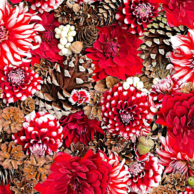 Hand Picked: Christmas MAS10715-RW Fabric Image