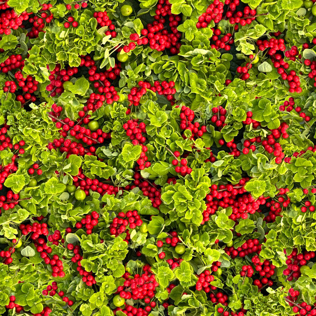 Hand Picked: Christmas MAS10722-GR Fabric Image
