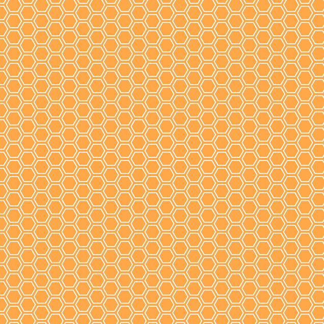 Kimberbell Basics Flannel MASF8256-O2 Orange Kimberbell Fabric Image