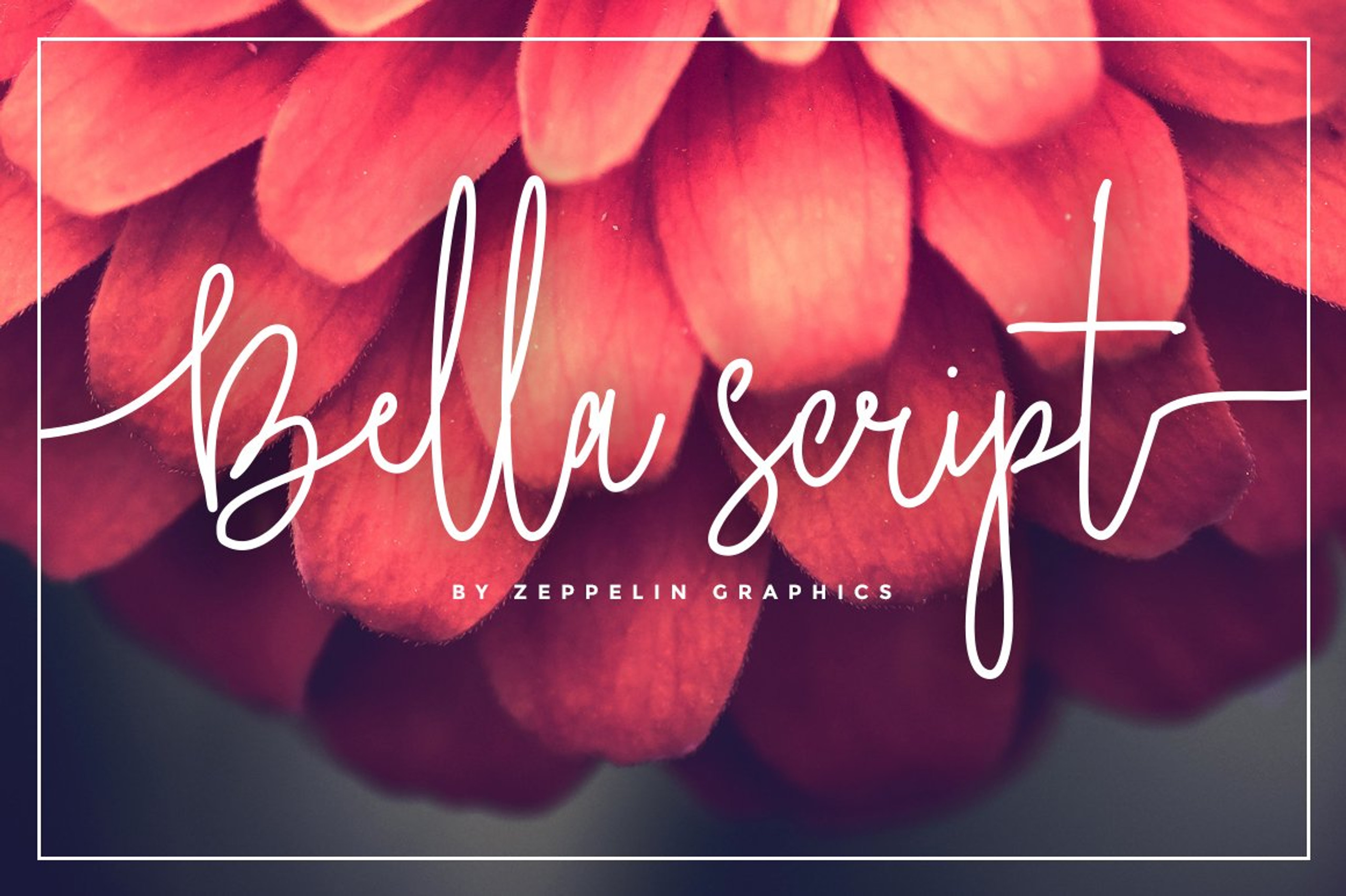 bella script font free download