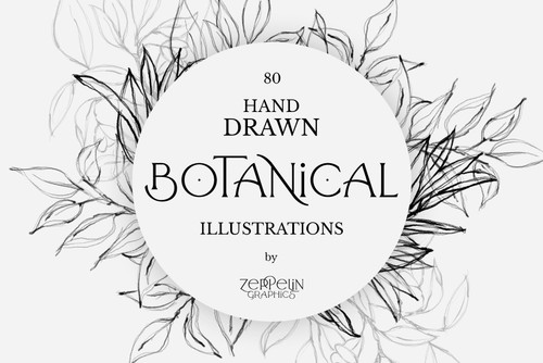 80 Botanical Hand Drawn Illustration