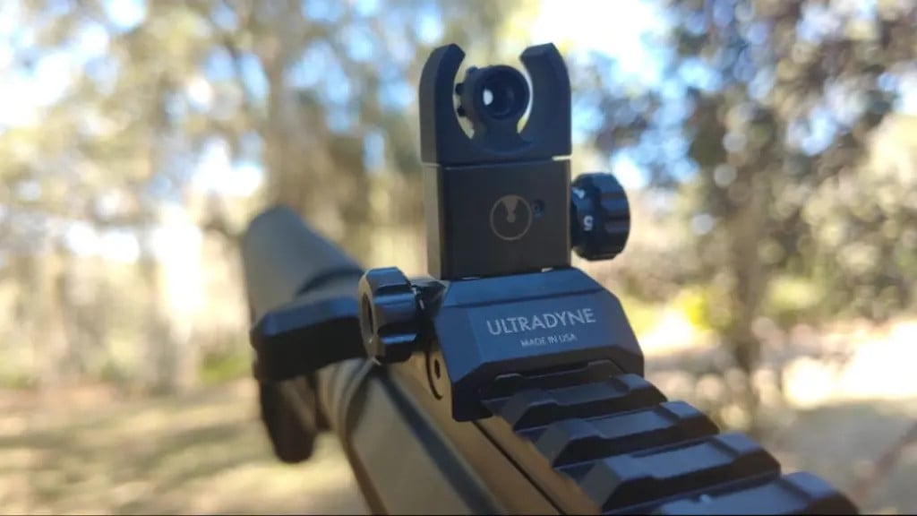 c4 rear sight on rifle