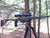 adjustable butt stock installed on rifle