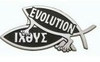 Evolution Chrome Car Emblem