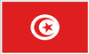 Tunisia Flag Sticker
