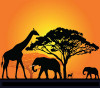 African Animal Stickers COLOR 4