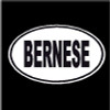 Bernese Oval Dog Decal