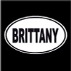 Brittany Oval Dog Decal