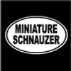 Miniature Schnauzer Oval Decal