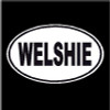 Welshie Oval Dog Decal