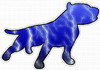 PITBULL STICKER FILLS lightning blue