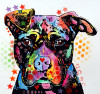 Pitbull Wall Art Vinyl Decal 1