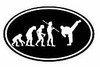 Evolution Sport Stickers KARATE - OVAL B